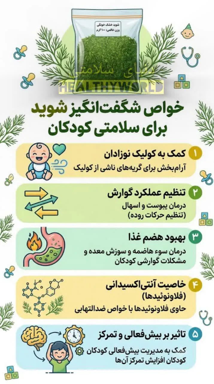 شوید خشک خانگی100گرمی