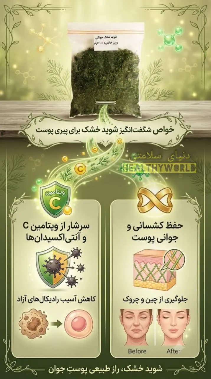 شوید خشک خانگی100گرمی