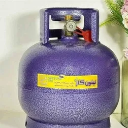 خوراکپز پیکنیکی نپتون ظرفیت 2.5 کیلوگرم