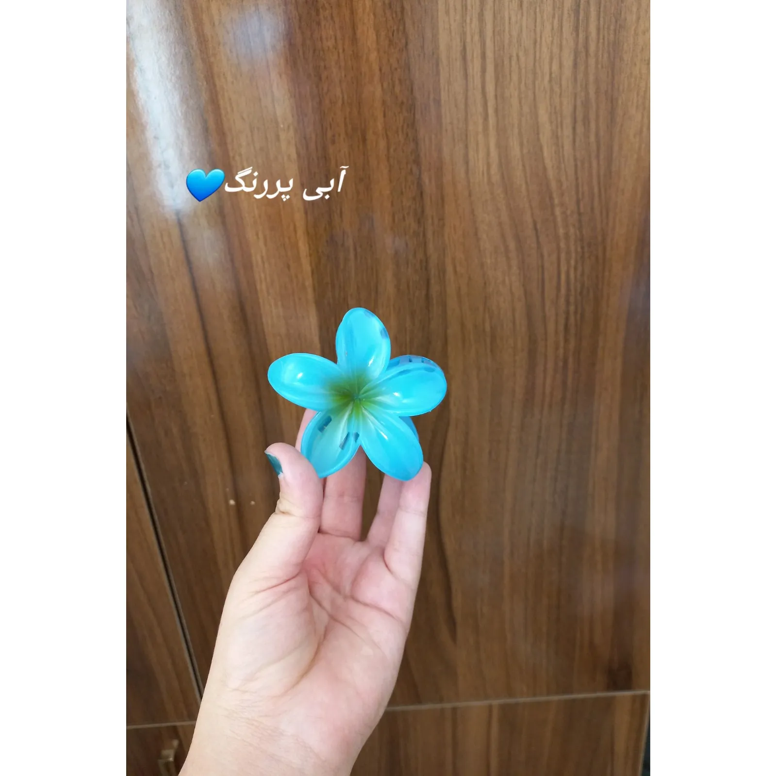 کلیپس پلومریای بزرگ (8cm)