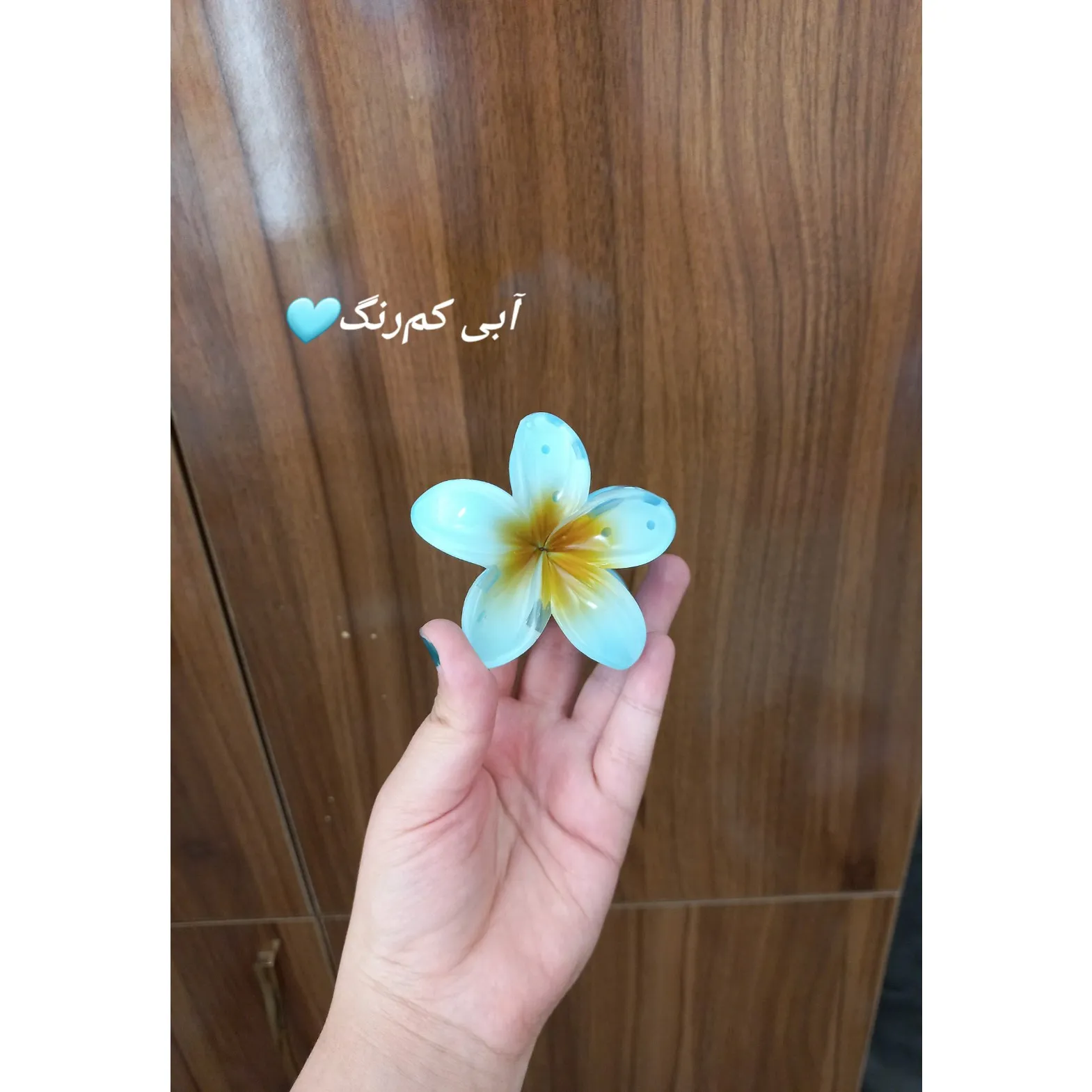 کلیپس پلومریای بزرگ (8cm)